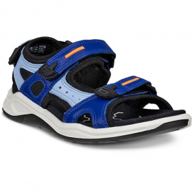 X-Trinsic K