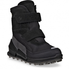BIOM K2