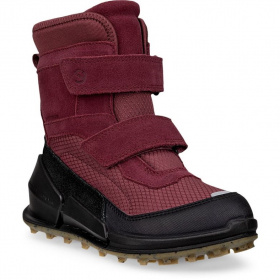 BIOM K2