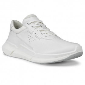 Biom 2.2 W