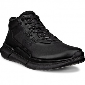 BIOM 2.2 M