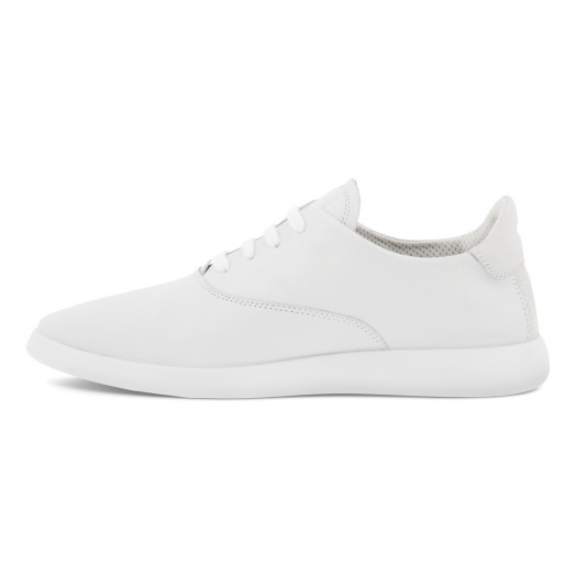 Minimalist W