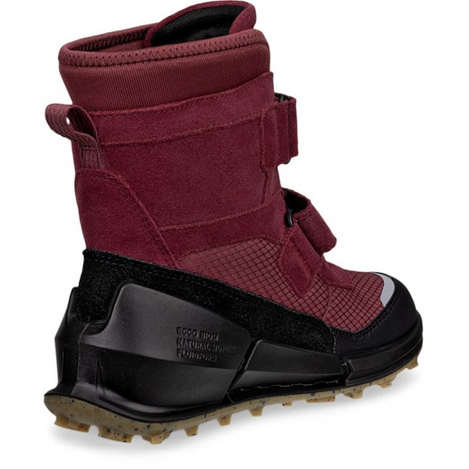 BIOM K2