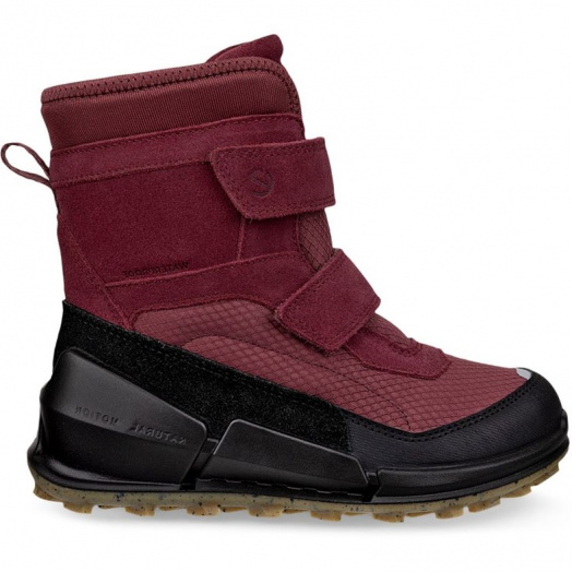 BIOM K2