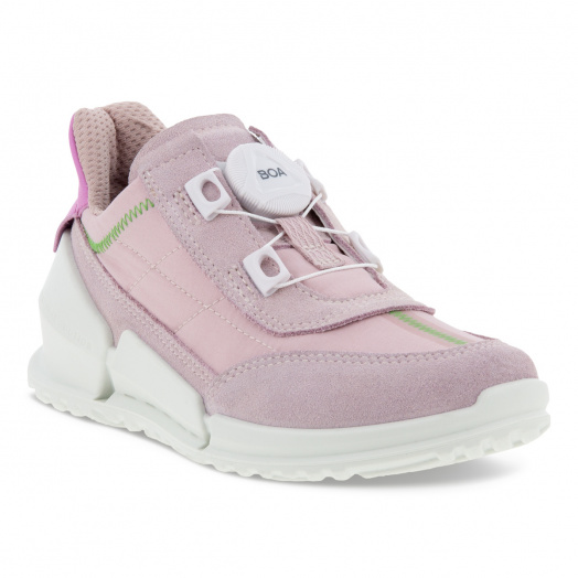 Biom K1