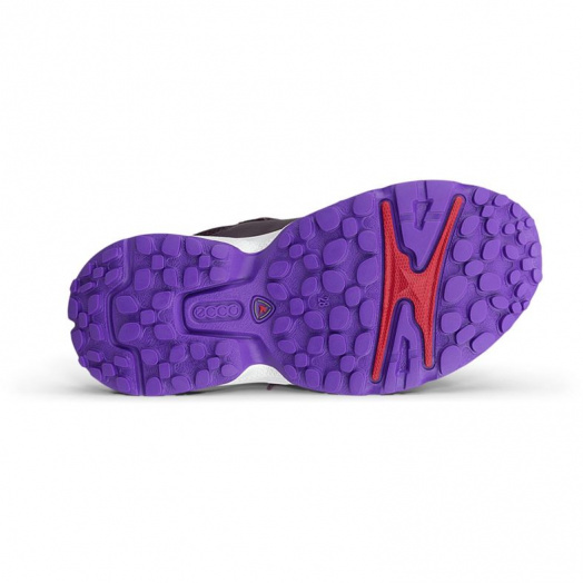 RECEPTOR XP K