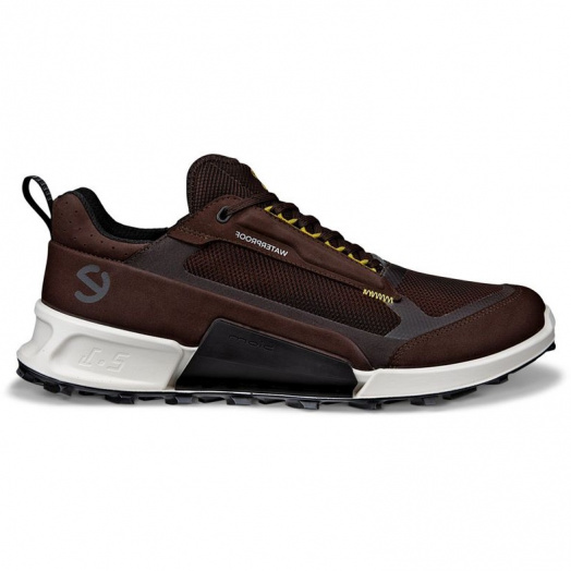 BIOM 2.1 X MOUNTAIN M