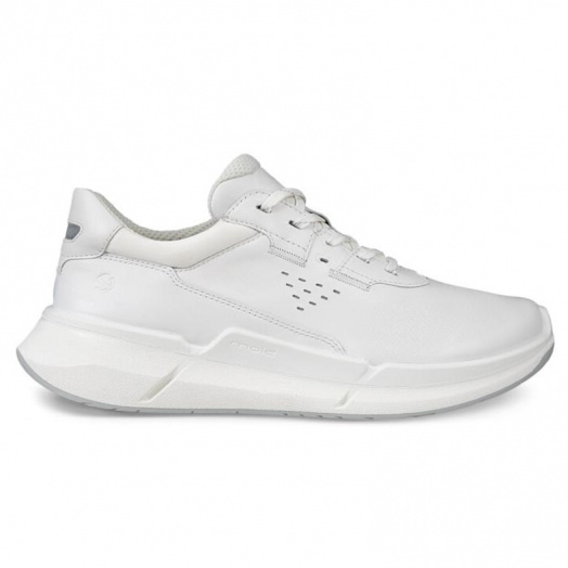 Biom 2.2 W
