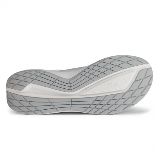 Biom 2.2 W