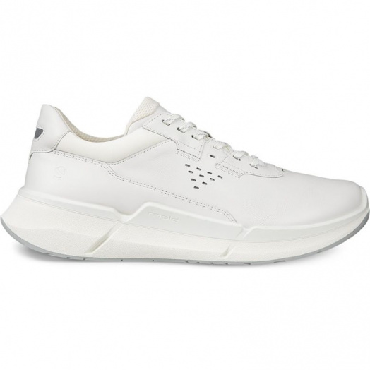 Biom 2.2 M
