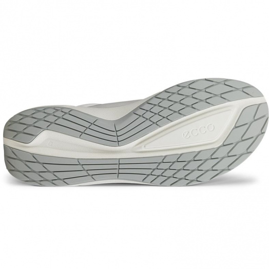 Biom 2.2 M