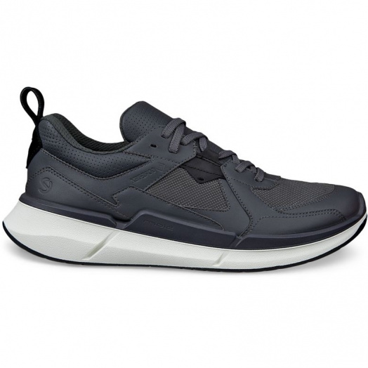 BIOM 2.2 M