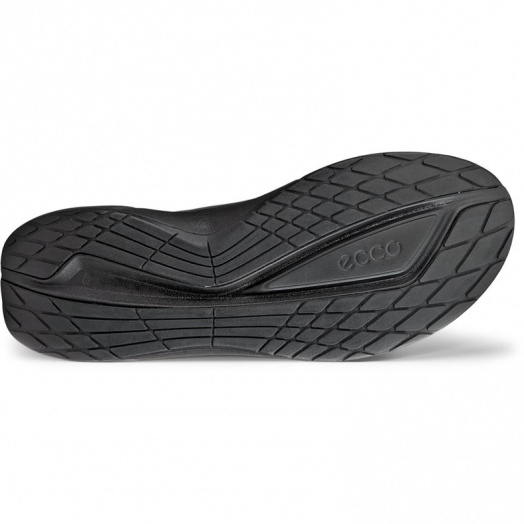 BIOM 2.2 M