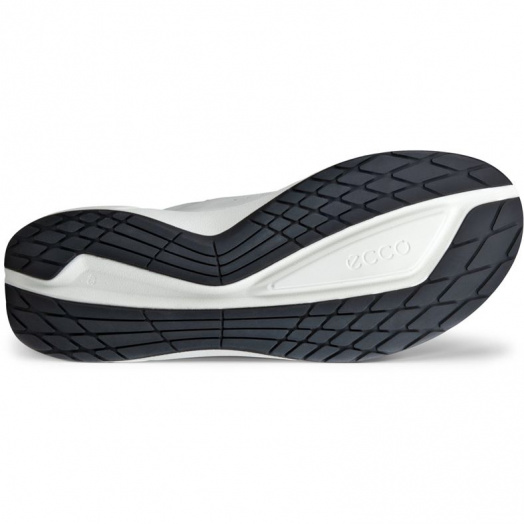 BIOM 2.2 M