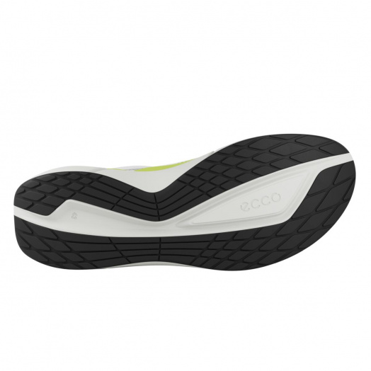 Biom 2.2 M