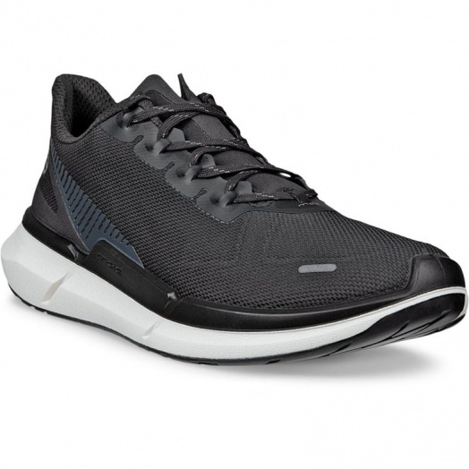 BIOM 2.2 W