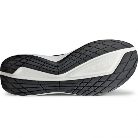 BIOM 2.2 W