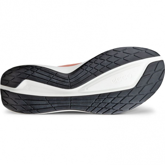 BIOM 2.2 W