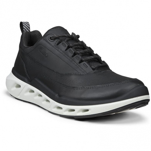 BIOM 720 W