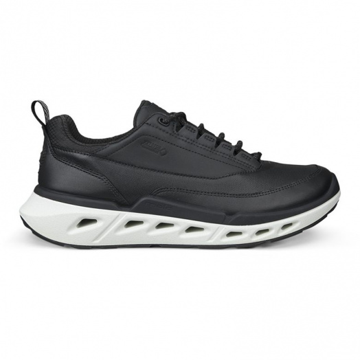 BIOM 720 W