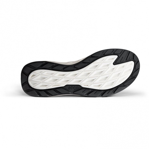 BIOM 720 W