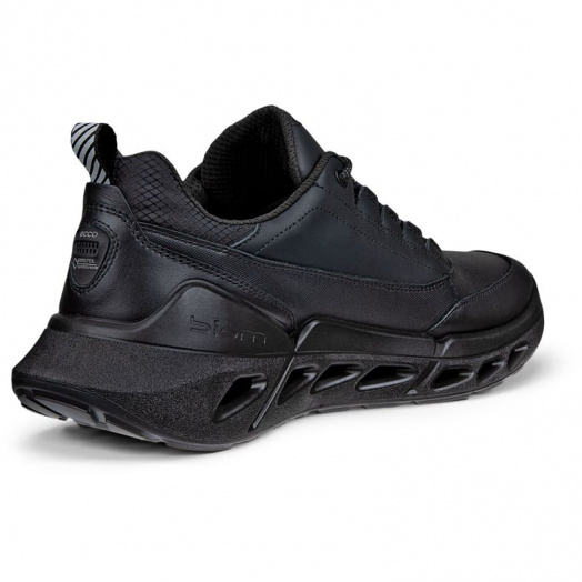 BIOM 720 M