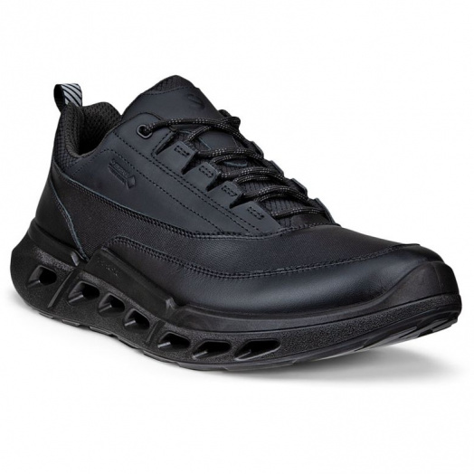BIOM 720 M