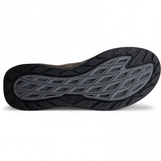 BIOM 720 M