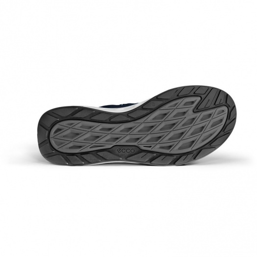 BIOM 720 M
