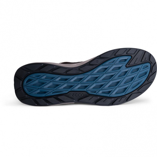 BIOM 720 M